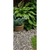 Gallery Image Number 4