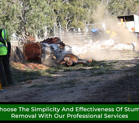 Regal Trees Pty Ltd. Choose The Simplicity And Effectiveness Of Stump Removal With Our Professional Services