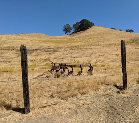 Castle Rock Regional Recreation Area - Walnut Creek, CA