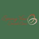 Spring View Dental Care - Dentists