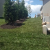 Grizzly Bear Lawn Care gallery