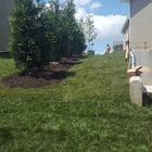 Grizzly Bear Lawn Care