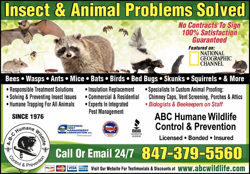 ABC Humane Wildlife Control & Prevention Inc. 1845 E Rand ...