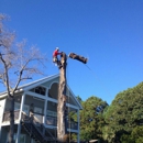 Arbor Tree Care - Tree Service