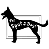 The Spot 4 Dogs gallery