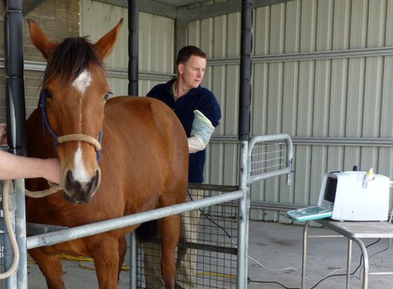Colac Veterinary Clinic - Colac, VIC