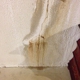 The Krack Doctor - Basement Wall Crack Repair