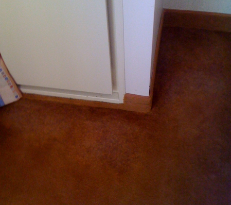 ColorFix Carpet Color Repair - Henderson, KY