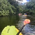 Wailua River State Park