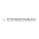 NYC Animal Control