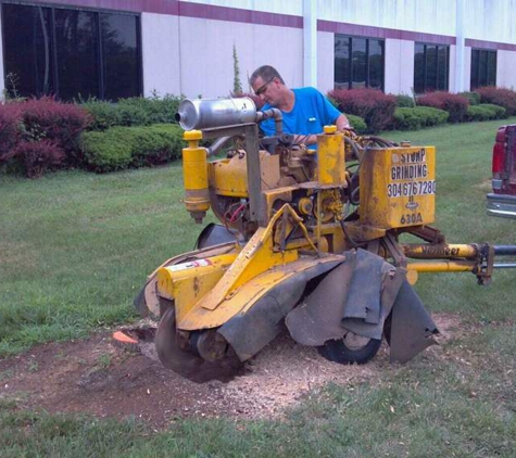 Brining's Stump Grinding - Hedgesville, WV