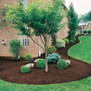 Quality Plus Lawn Care - Landscaping & Lawn Services
