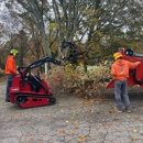 Top Notch Tree, Inc. - Tree Service