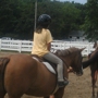 Thomas School Of Horsemanship