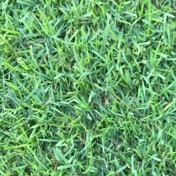 Gallery Image Number 5