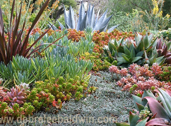 Paul Viers Landscaping - Los Angeles, CA