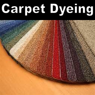 Prestige Systems Carpet & Furniture Cleaning - Lexington, SC