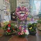 Daisy & Co. Floral Boutique