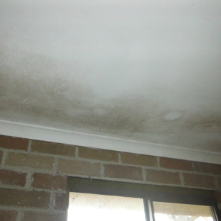 Look Sharp Inspections - Woolamai, VIC