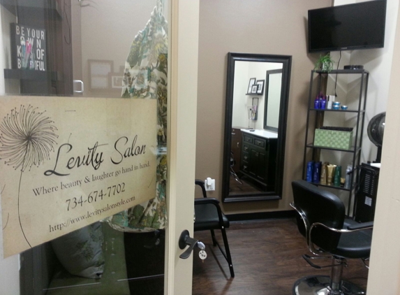 Levity Salon,  LLC - Plymouth, MI