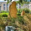 National Museum of the American Indian gallery