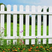 Gallery Image Number 1