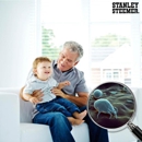 Stanley Steemer - Carpet & Rug Cleaners