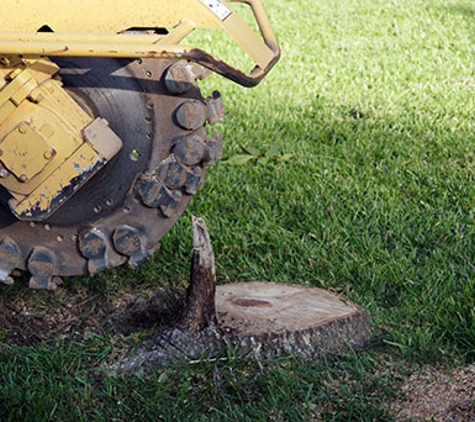 A-1 Ron's Stump & Tree Removal - Springfield, OR