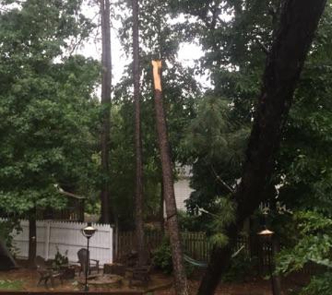 Cowarts Tree Removal - Suwanee, GA