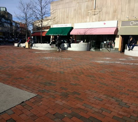 Brattle Square - Cambridge, MA