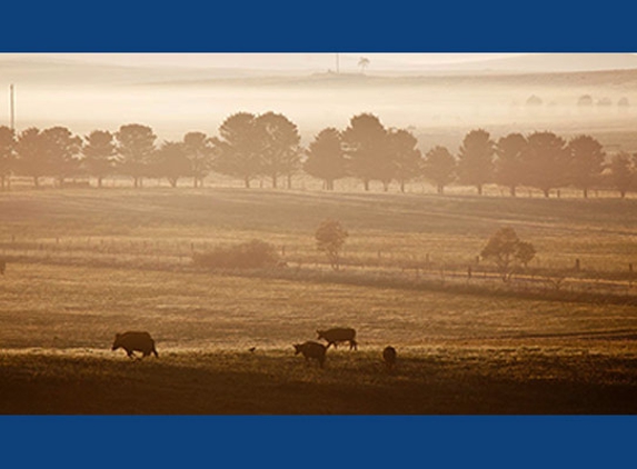 Monbeef Pty Ltd - Cooma, NSW