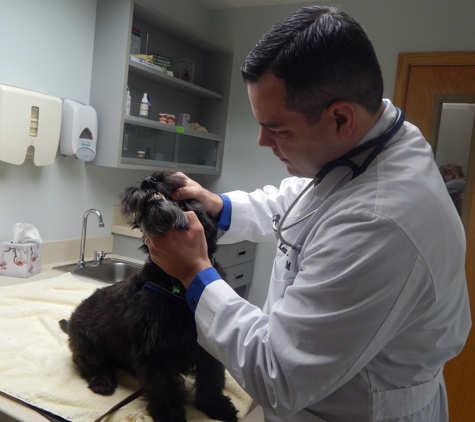 Perinton Veterinary Hospital - Victor, NY