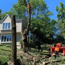 Four Season Tree Services - Tree Service