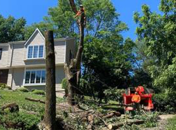 Four Season Tree Services - Wharton, NJ