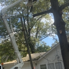 Mike Letson Tree Service