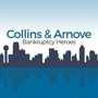 Collins & Arnove