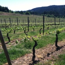 Kramer Vineyards - Wineries