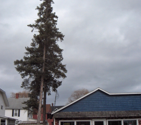 Tri Lakes Tree & Landscape - Wilmington, NY