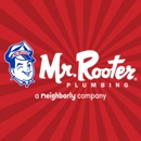 Mr. Rooter Plumbing - Plumbers