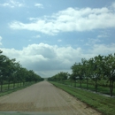 Feather River Vineyards - Tourist Information & Attractions