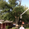 J & R's Tree Service gallery