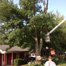 J & R's Tree Service - Tree Service