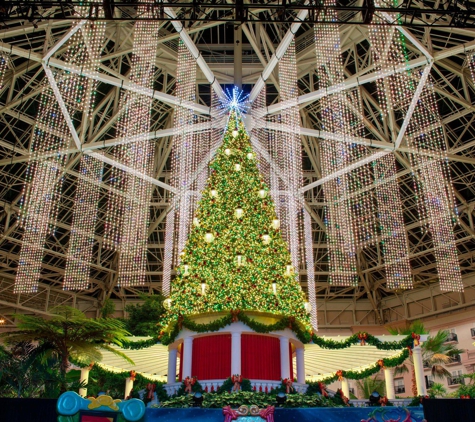 Gaylord Palms Resort & Convention Center - Kissimmee, FL