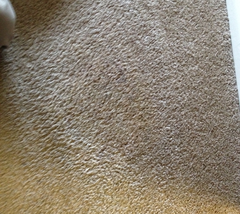 ColorFix Carpet Color Repair - Henderson, KY