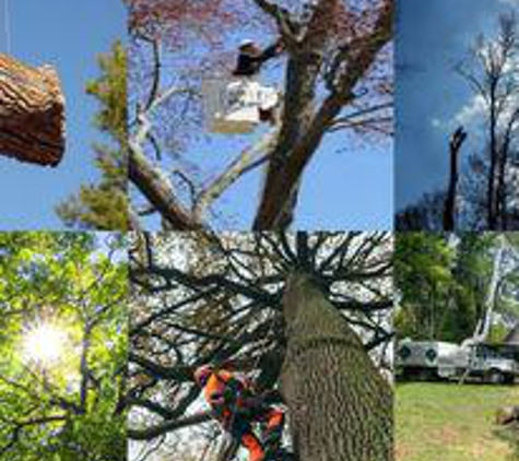 Gordon W. Frazier Tree Service - Fairfax, VA