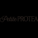 Petite Protea - Boutique Items