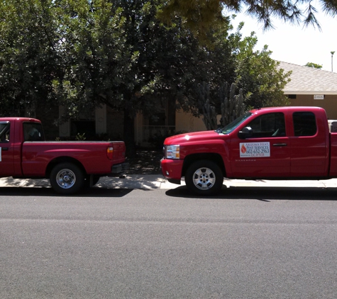 Arizona Heat - Pest Services - Phoenix, AZ