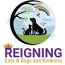 Reigning Cats & Dogs - Pet Stores