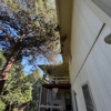 Benoit's Tree Care gallery