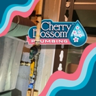 Cherry Blossom Plumbing